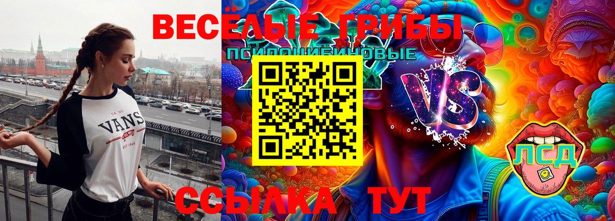 сколько стоит  Вход с VPN  Партизанск  Галлюциногенные грибы мицелий 