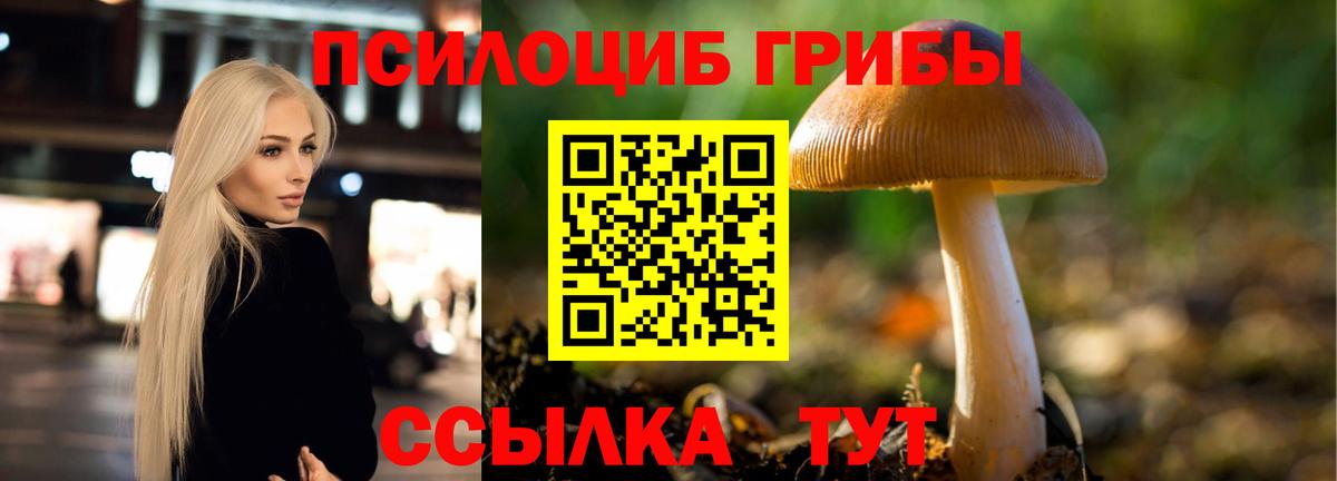 Галлюциногенные грибы Psilocybine cubensis Партизанск