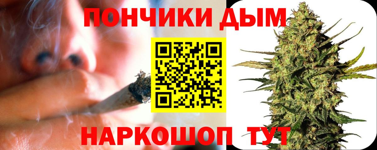 Бошки Шишки Amnesia Партизанск